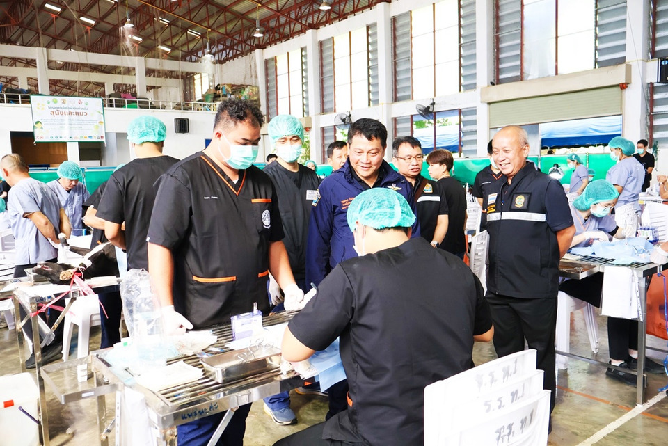 รองอธิบดีกรมปศุสัตว์ เปิดโครงการเร่งทำหมันสุนัข–แมว คุมพิษสุนัขบ้าแม่ฮ่องสอน