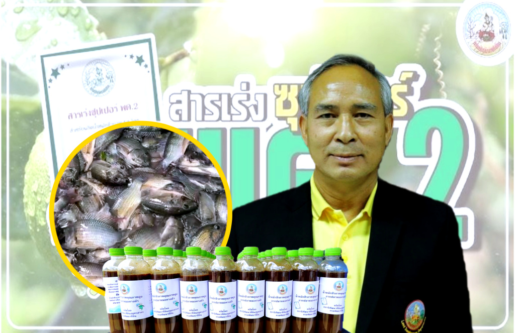 กรมพัฒนาที่ดิน ผลักดัน “น้ำหมักชีวภาพปลาหมอคางดำ” พร้อมสร้างการรับรู้