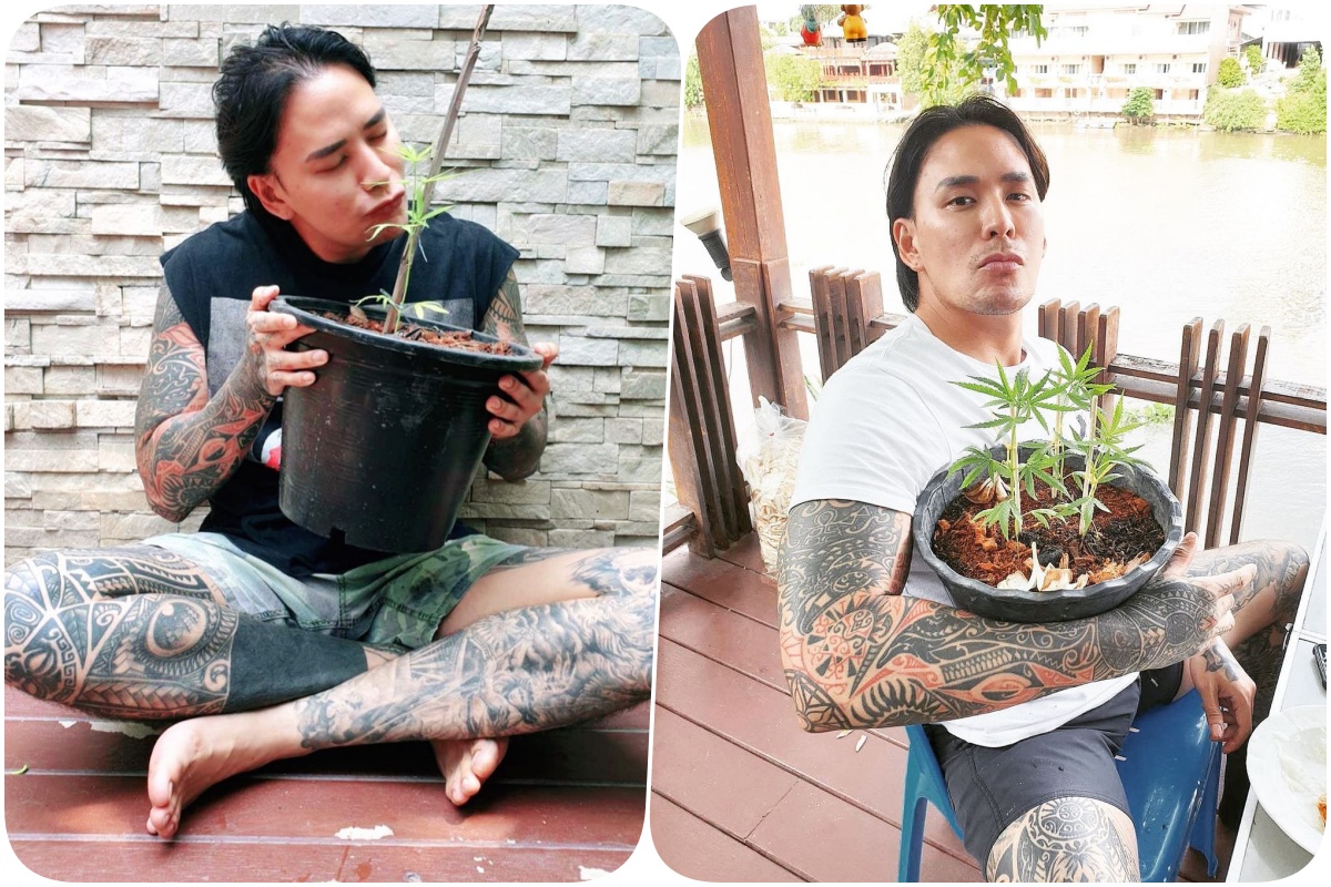 "แทค ภรัณยู" โพสต์ประกาศรับงานรีวิว "กัญชา" พร้อมโชว์รูปกระถางต้นไม้