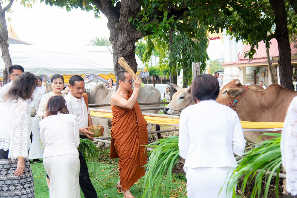 ร้อยเอ็ดจัด “กฐินบุญฤทธิ์ ปี 12” ไถ่ชีวิตโค-กระบือ ช่วยเกษตรกรผู้ยากไร้
