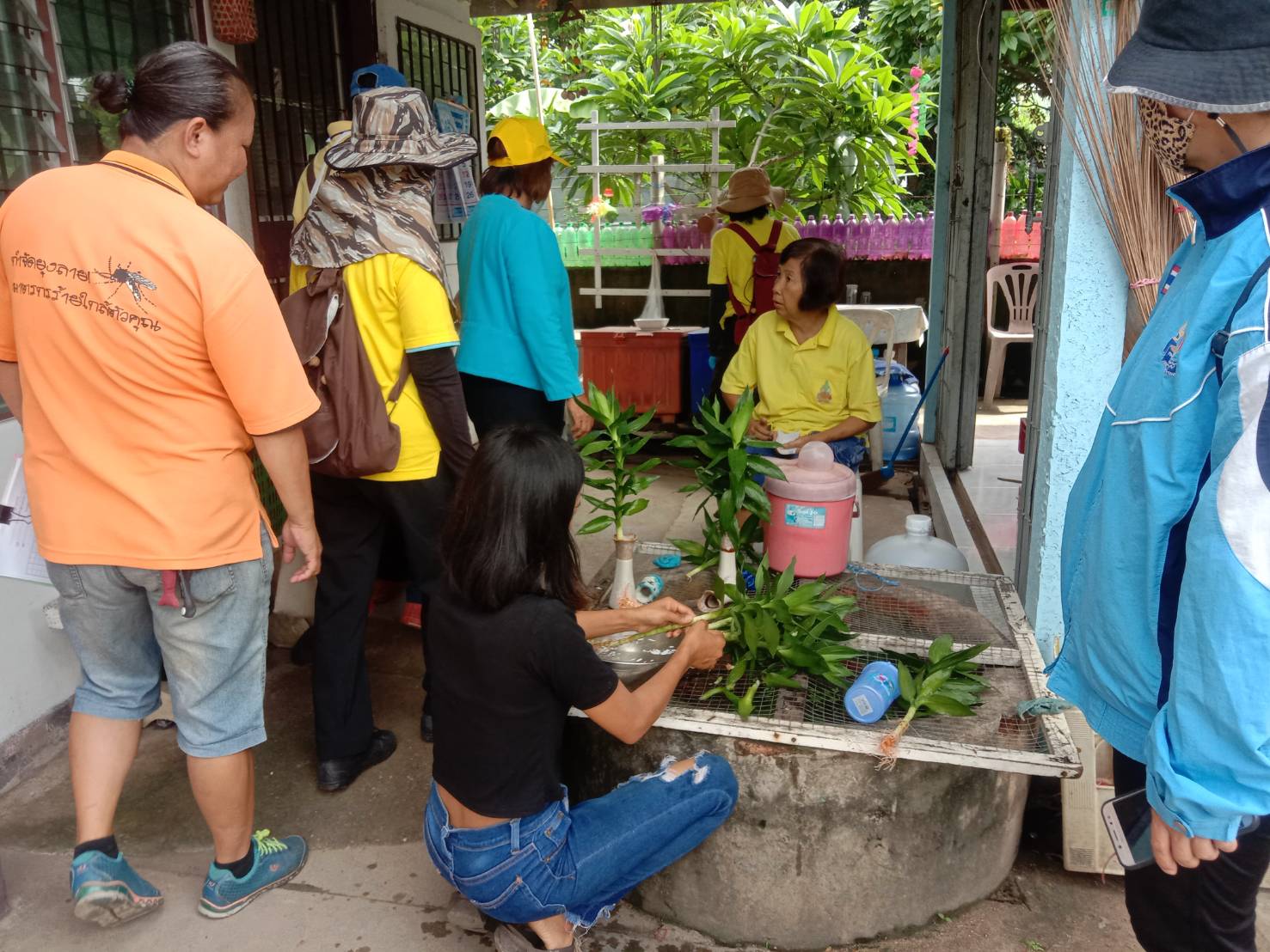 เชียงใหม่พบผู้ป่วยไข้เลือดออก 1,726 ราย ดับ 1   อสม.ระดมลงชุมชนกำจัดลูกน้ำยุงลาย
