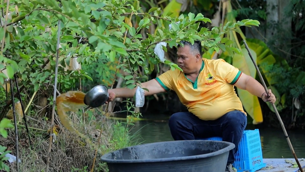 พด. ผลักดันแก้ปัญหาการแพร่ระบาดปลาหมอคางดำ เพิ่มผลผลิต รักษาระบบนิเวศ อย่างมีประสิทธิภาพ