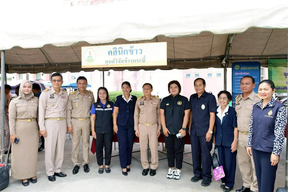 ศูนย์วิจัยข้าวกระบี่ แนะปลูกข้าวไร่เป็นพืชแซม เพิ่มรายได้เกษตรกร โชว์ขนมแปรรูปสร้างอาชีพ
