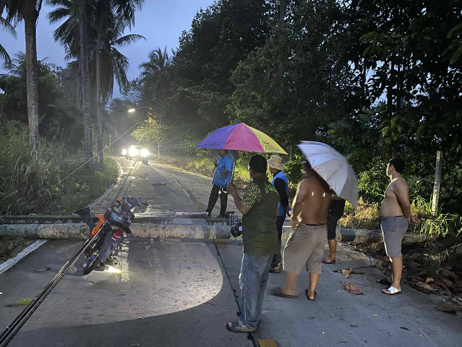 พายุฝนถล่มบางละมุง! เสาไฟแรงสูง–ต้นมะพร้าวโค่นขวางถนน ชาวบ้านสัญจรไม่ได้