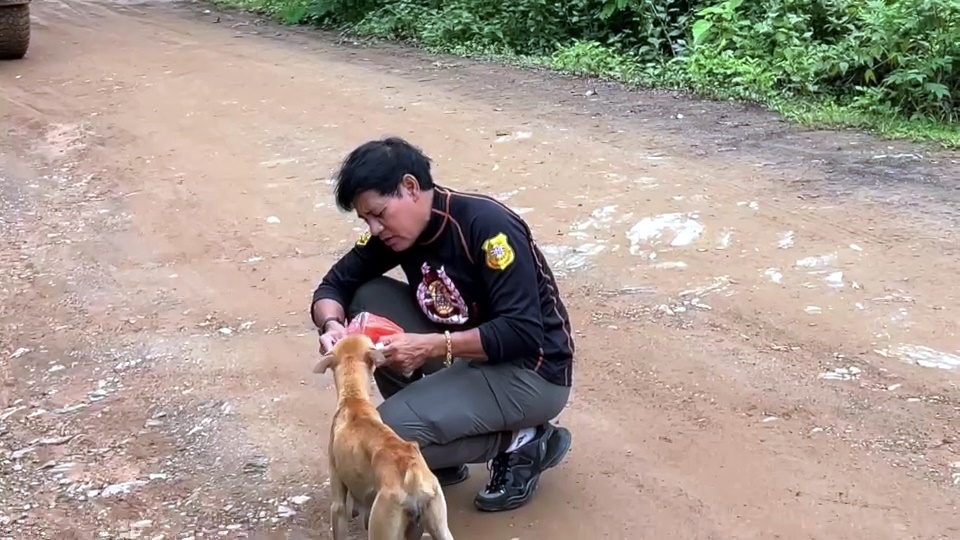 พระเอกตัวจริง!! "ไทด์ เอกพันธ์" สั่งหยุดขบวนกลางดอยสบเมย หลังเจอสุนัขจรจัดแม่ลูกอ่อนหิวโซ
