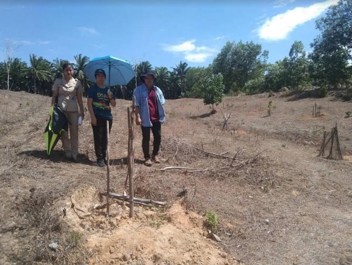 ภัยแล้งกระหน่ำตรังหนัก พื้นที่พืชผลทางการเกษตรเสียหายยับ ยางพารา ทุเรียน ตายยกสวน 