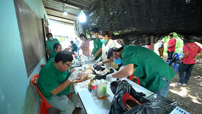 ปศุสัตว์นครปฐม-อบต.โพรงมะเดื่อ ตั้งแคมป์สนาม ทำหมันแมว 58 ตัว ให้บ้านหญิงชรา 