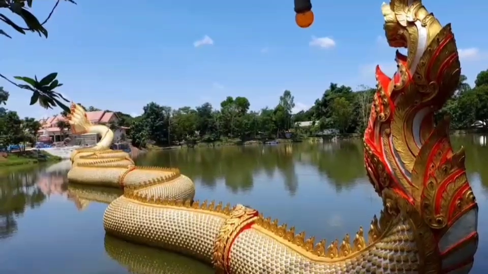 อุดรธานี ด้วยความศรัทธาสร้างพญานาคตามความฝัน เลื้อยขึ้นหนองน้ำ 131 เมตร คอหวยแห่ขอเลขเด็ด