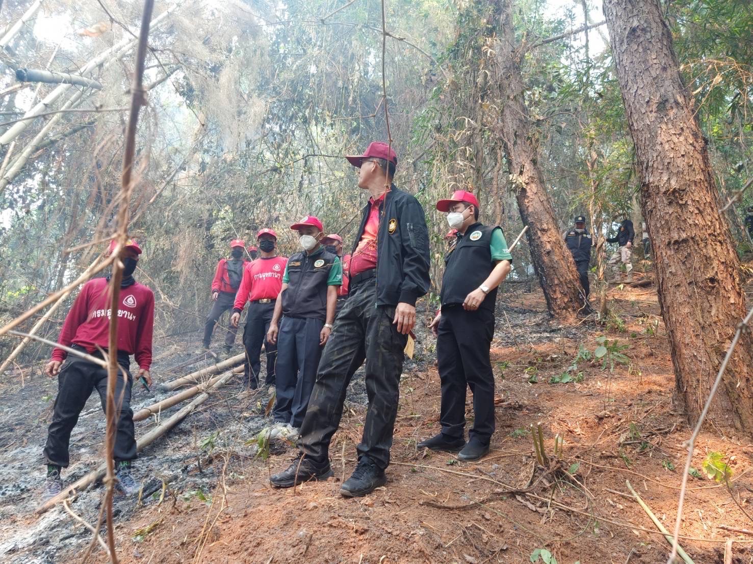 อธิบดีกรมอุทยานฯ รุดตรวจไฟป่าดอยตุง สั่งจนท.เฝ้าระวังต่อไปอีก 2 วัน