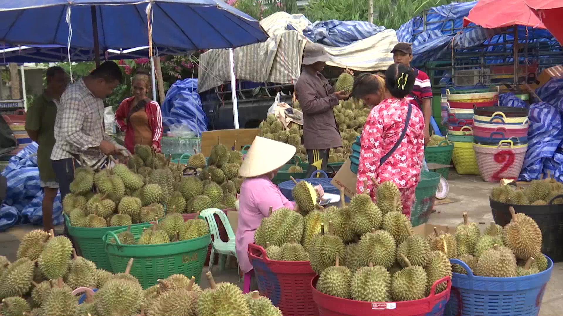 ตลาดผลไม้ชายแดนคึกคัก ทุเรียนเมืองจันทร์ ราคาดี กัมพูชารับซื้อไม่อั้นตกวันละกว่า 100 ตัน 