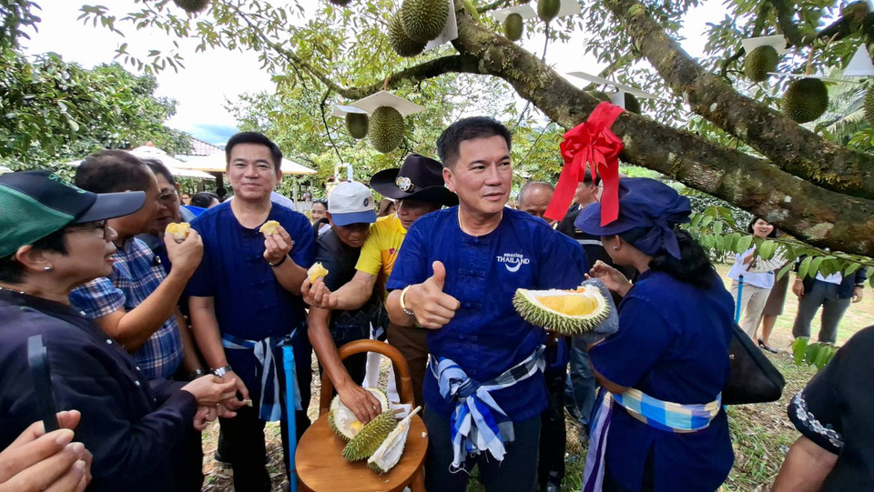 ททท.พังงาเปิดฤดูกาลผลไม้ ชวนเที่ยวสวน “กินทุเรียนสาลิกา 34 สวน” กระตุ้นท่องเที่ยว 