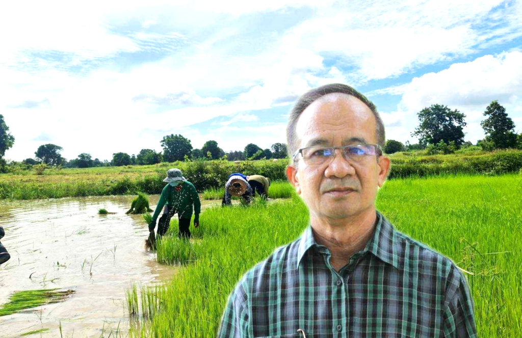 ศูนย์วิจัยข้าวสุรินทร์ เร่งส่งเสริมเกษตรกรผลิตข้าวอินทรีย์ สร้างรายได้มั่นคงตามความต้องการตลาด