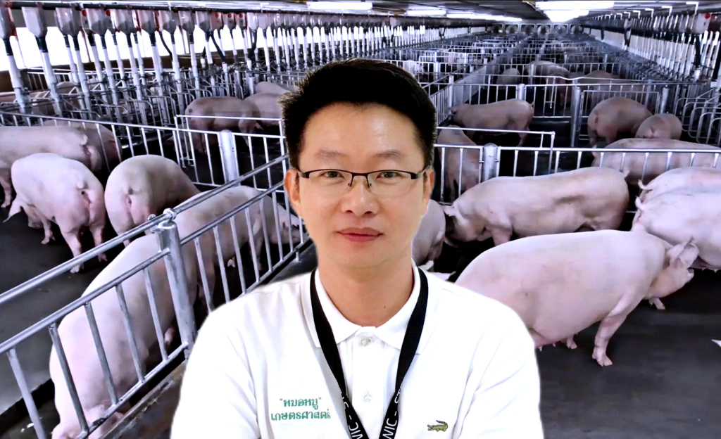 อาจารย์ ม.เกษตรฯ แนะเกษตรกรรายย่อยปรับการเลี้ยงฟื้นการผลิต ย้ำหมูกินได้ ASF ไม่ติดต่อสู่คน