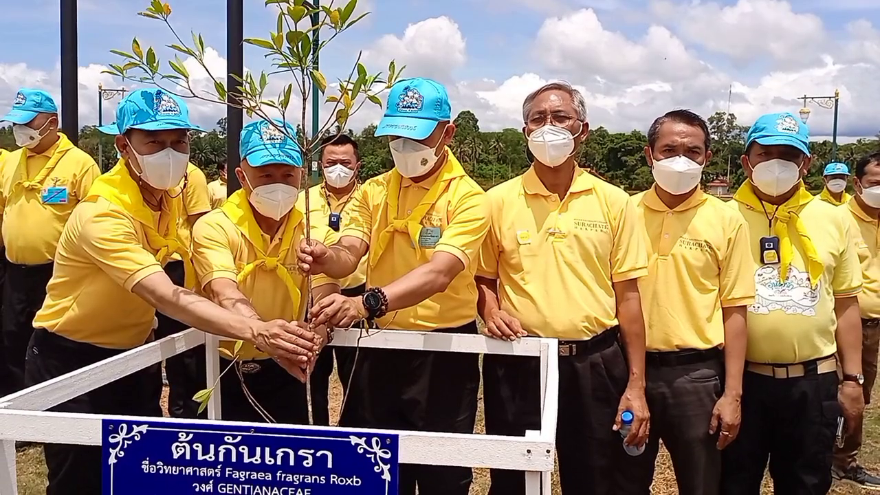 บิ๊กโจ๊ก! นายกสมาคมชาวปักษ์ใต้ นำปชช.ชาวชุมพร ร่วมปลูกต้นกันเกรา 