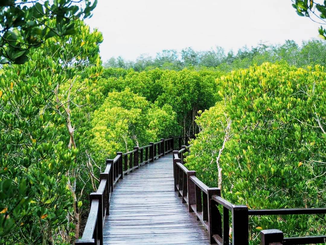 ชวนนทท.ชมความงามธรรมชาติวนอุทยานปราณบุรี-เขาตาม่องล่าย หลังสถานการณ์โควิดดีขึ้น