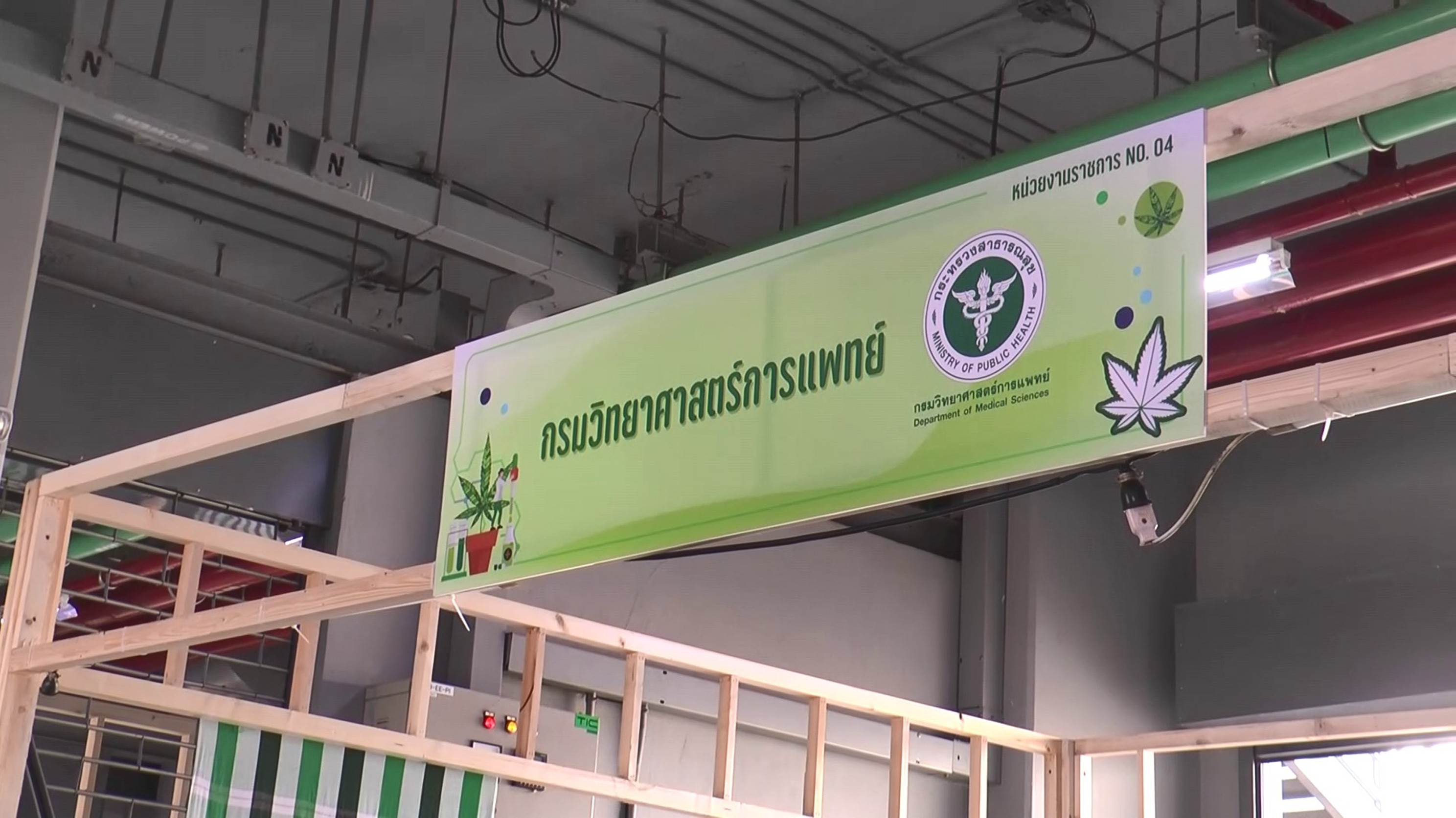 บุรีรัมย์เร่งจัดสถานที่งาน “กัญชากัญชง 360 องศา”   ปชช.-ผู้ป่วยแห่ลงทะเบียนร่วมงานนับหมื่น