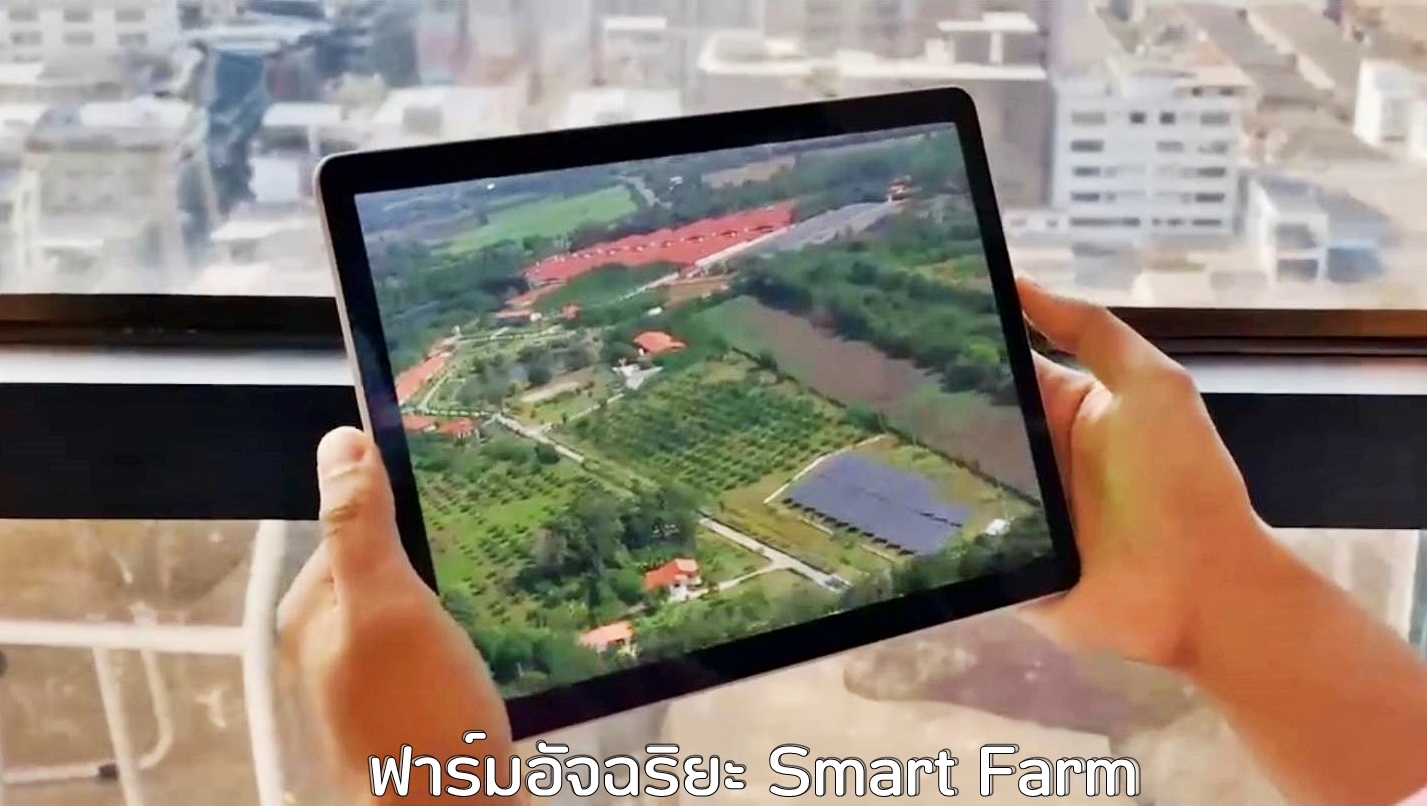 ซีพีเอฟ เดินหน้า Greenfarm-Smart Farm ยกระดับการเลี้ยงหมูปลอดภัยเป็นมิตรกับสิ่งแวดล้อม