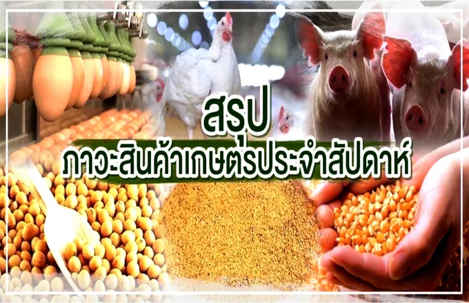 สรุปภาวะสินค้าเกษตรประจำสัปดาห์ วันที่ 24-27 กรกฎาคม 2566