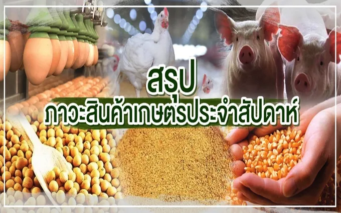 สรุปภาวะสินค้าเกษตรประจำสัปดาห์ วันที่ 10-12 เมษายน 2566
