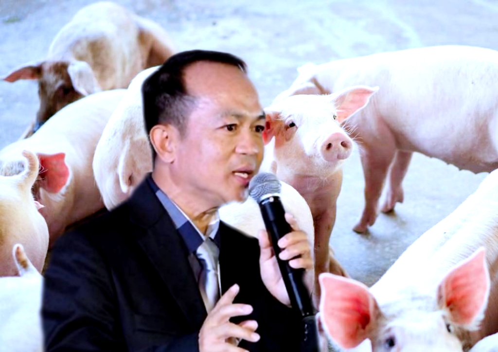 เกษตรกรเลี้ยงหมู แบกภาระล้น-ต้นทุนพุ่ง หวังผู้บริโภคต่อลมหายใจ