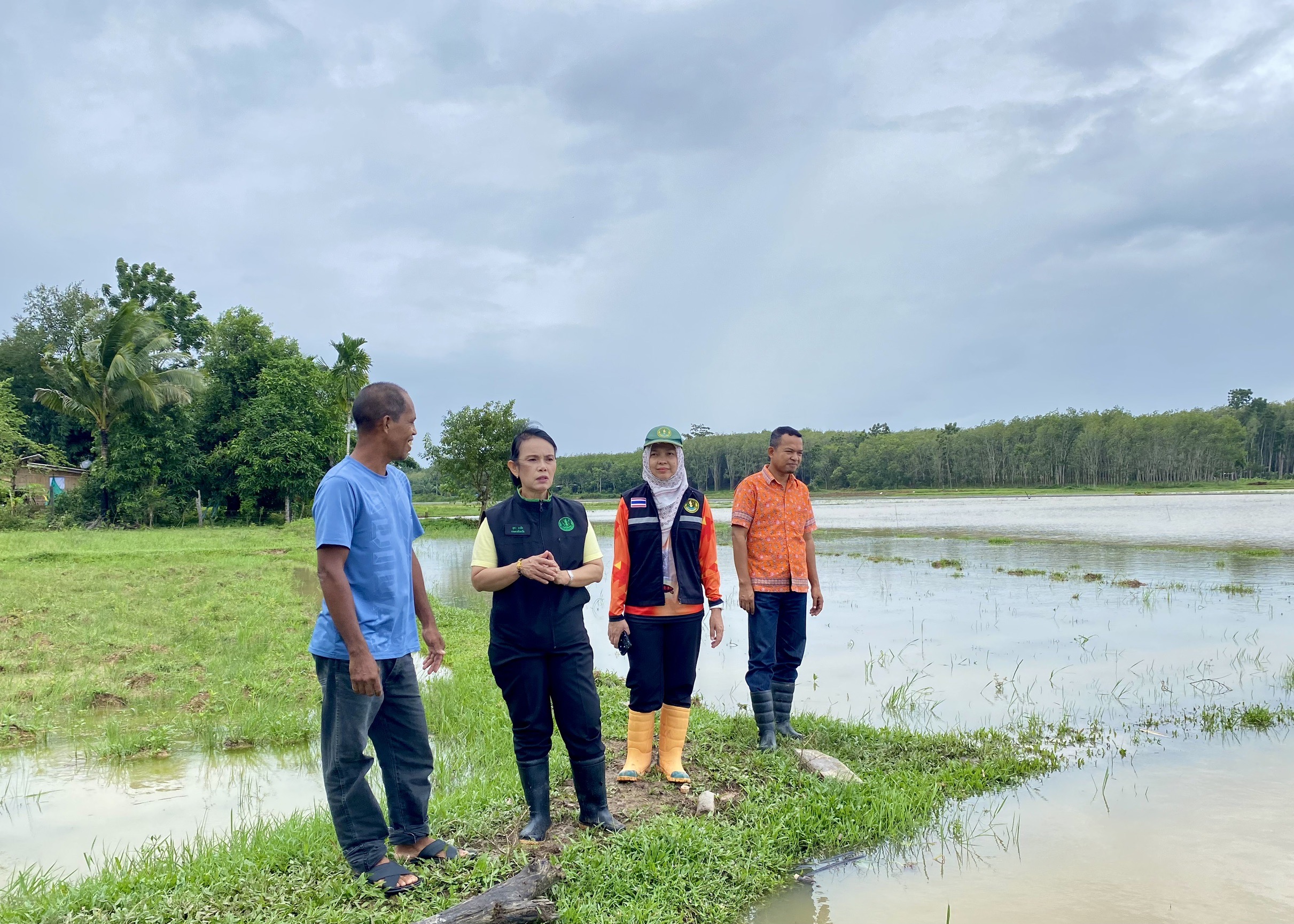 เกษตรจังหวัดสตูลลงพื้นที่ตรวจสอบผลกระทบจากน้ำท่วมในอำเภอละงูพบพื้นที่การเกษตรเสียหายกว่า 498 ไร่