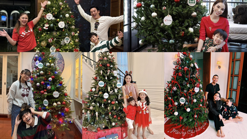 ส่องบ้านคนดังรับคริสต์มาส! ฮิตจัด “ต้นสนสด Balsam Fir” จากไทวัสดุ–บีเอ็นบี โฮม เติมกลิ่นอายเทศกาล