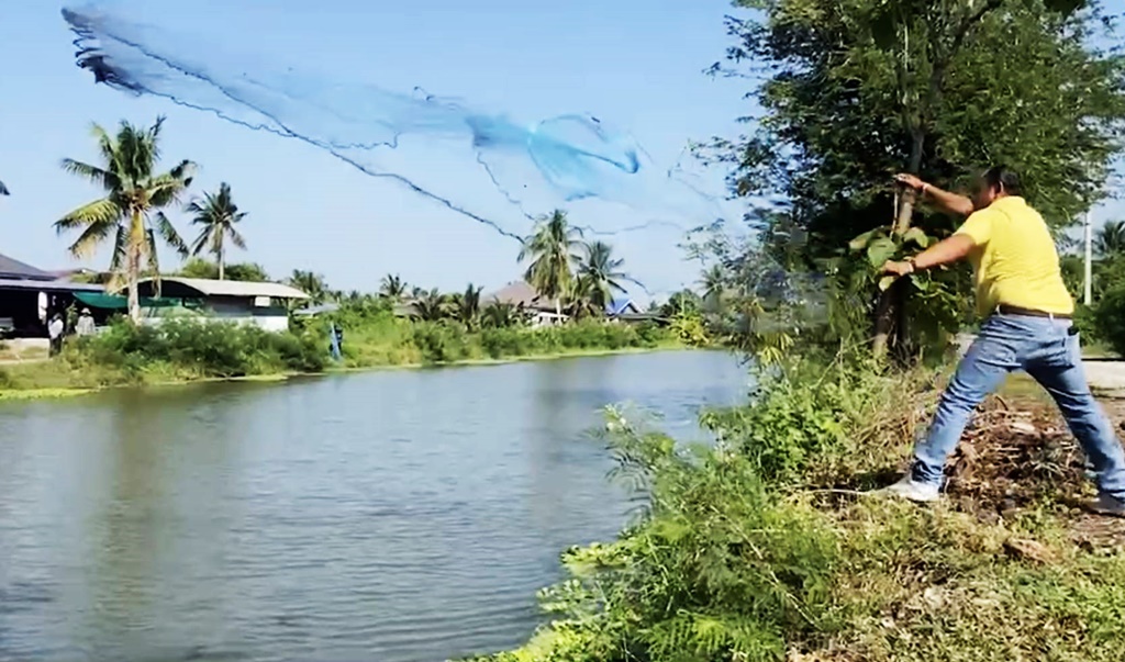 "เจอ จับ แจ้ง' โมเดลชาวเพชรบุรี ระดมพลังชุมชนลดจำนวนปลาหมอคางดำ