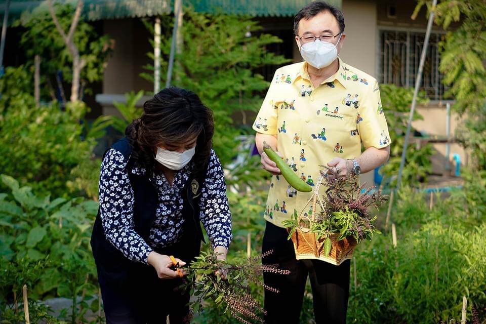 "พ่อเมืองอ่างทอง" การันตีปลูกผักสวนครัวดีจริง สานความต่อเนื่องสร้างความมั่นคงทางอาหารรับมือโควิด