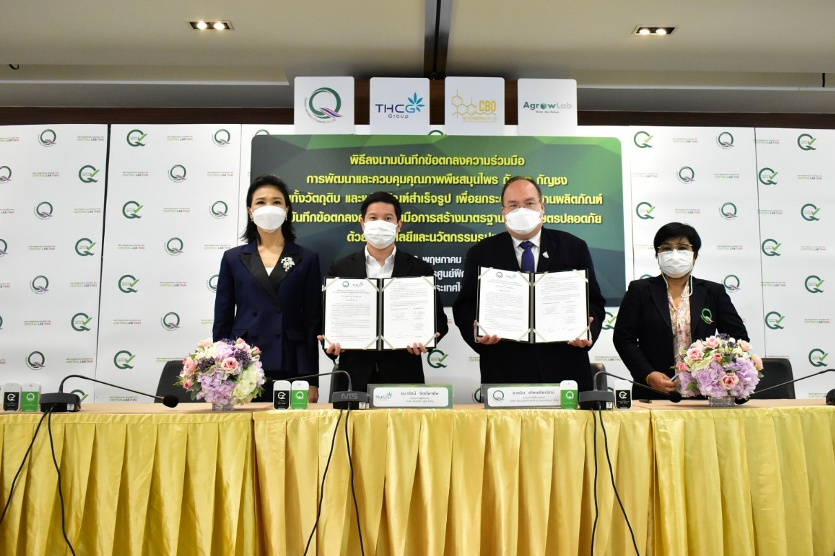 GUNKUL ส่ง บ.ร่วมทุน "ทีเอชซีจี กรุ๊ป" เซ็น MOU กับ Central Lab Thai วิจัยพัฒนากัญชา กัญชง ยกระดับมาตรฐานผลิตภัณฑ์