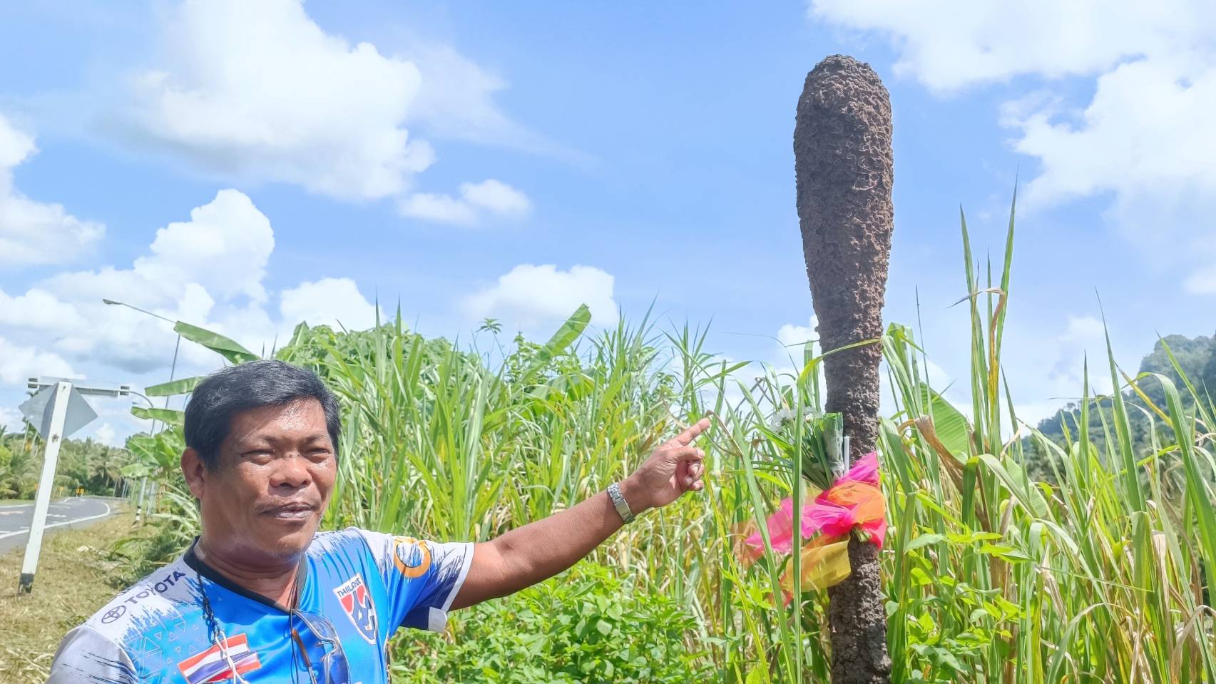 แปลก! พบปลวกทำรังสูงโด่เหมือนสากตำข้าว ชาวบ้านไม่พลาดผูกผ้าสีจุดธูปเทียนขอโชคลาภ
