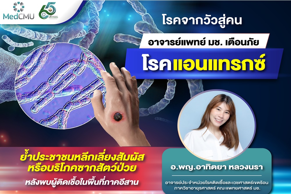 ระวัง! หมอ มช. เตือนภัย “แอนแทรกซ์” พบผู้ติดเชื้อในอีสาน ห้ามบริโภคเนื้อสัตว์ต้องสงสัย