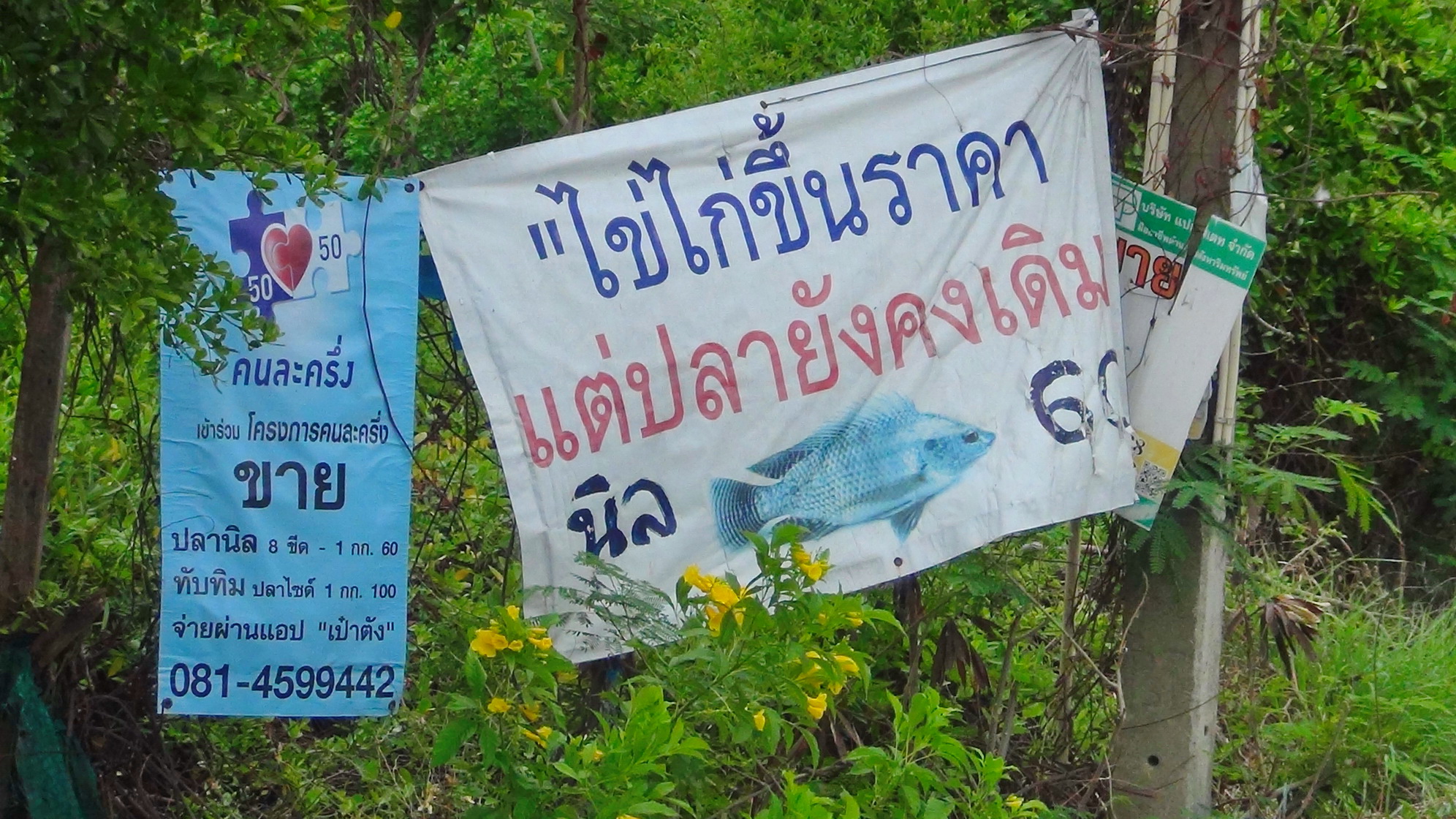 ฟาร์มไก่ยัน ยังขายไข่ราคาเดิม ขณะผู้บริโภคเผยพ่อค้าโก่งขายกันที่ปลายทาง