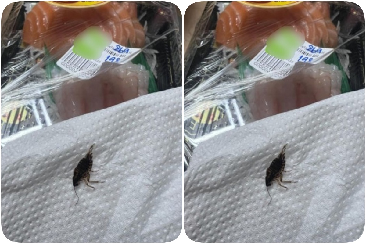 อ้วกแทบพุ่ง! สาวซื้อ ซาชิมิ ซูเปอร์มาร์เก็ตแกะดูถึงกับช็อก