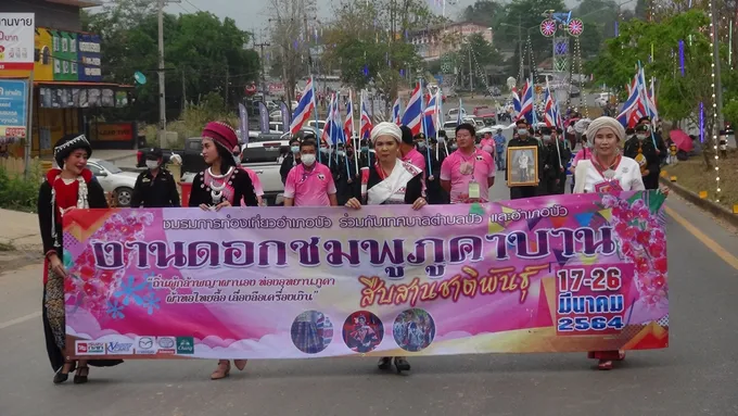 น่าน เปิดงานเทศกาลดอกชมพูภูคาบาน สืบสานชาติพันธุ์ ประจำปี 64