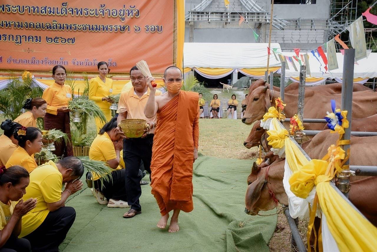 ร้อยเอ็ด มูลนิธิบุญโกศล วัดวิมลนิวาส จัดพิธีไถ่ชีวิตโค-กระบือ 28 ตัว เฉลิมพระเกียรติ ในหลวง