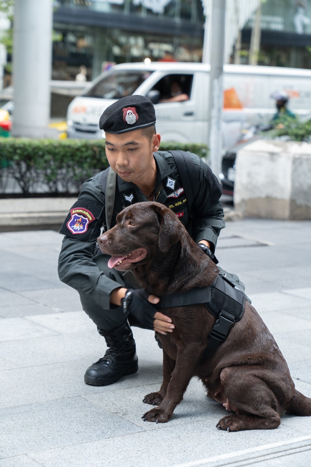เสริมภารกิจ! ตร. ส่ง "สุนัขตำรวจ K-9" ดูแลความปลอดภัย APEC 2022