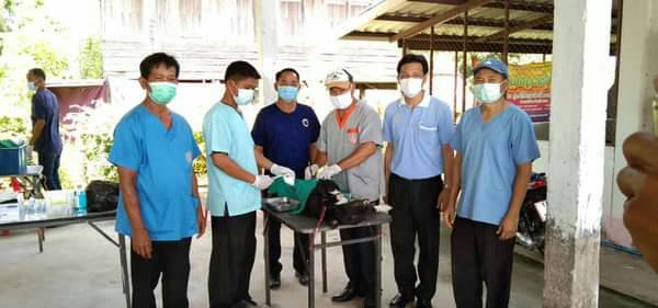 อบต.หนองคู ร่วม ปศุสัตว์ยโสธรลงพื้นที่ ฉีดวัคซีนทำหมันสุนัข-แมว ป้องกันโรคพิษสุนัขบ้า