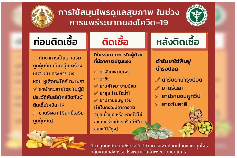 ก่อนและหลังติดเชื้อโควิด ใช้สมุนไพรดูแลสุขภาพอย่างไร และกินอะไรบ้าง