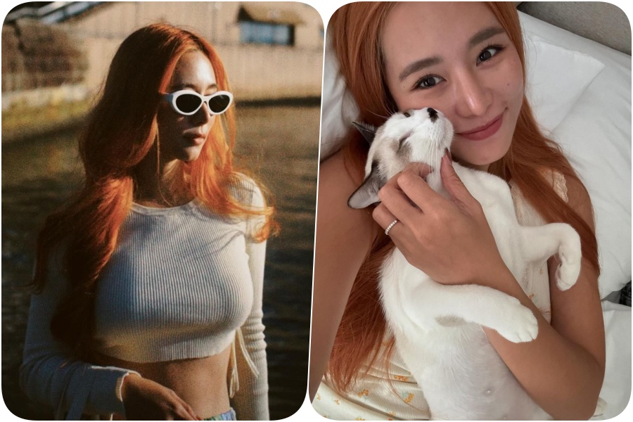 "ใบเฟิร์น อัญชสา" โพสต์เศร้าถึง "โบ๊ะบ๊ะ" น้องแมวสุดเลิฟ ที่จากไปยังไม่มีวันกลับ