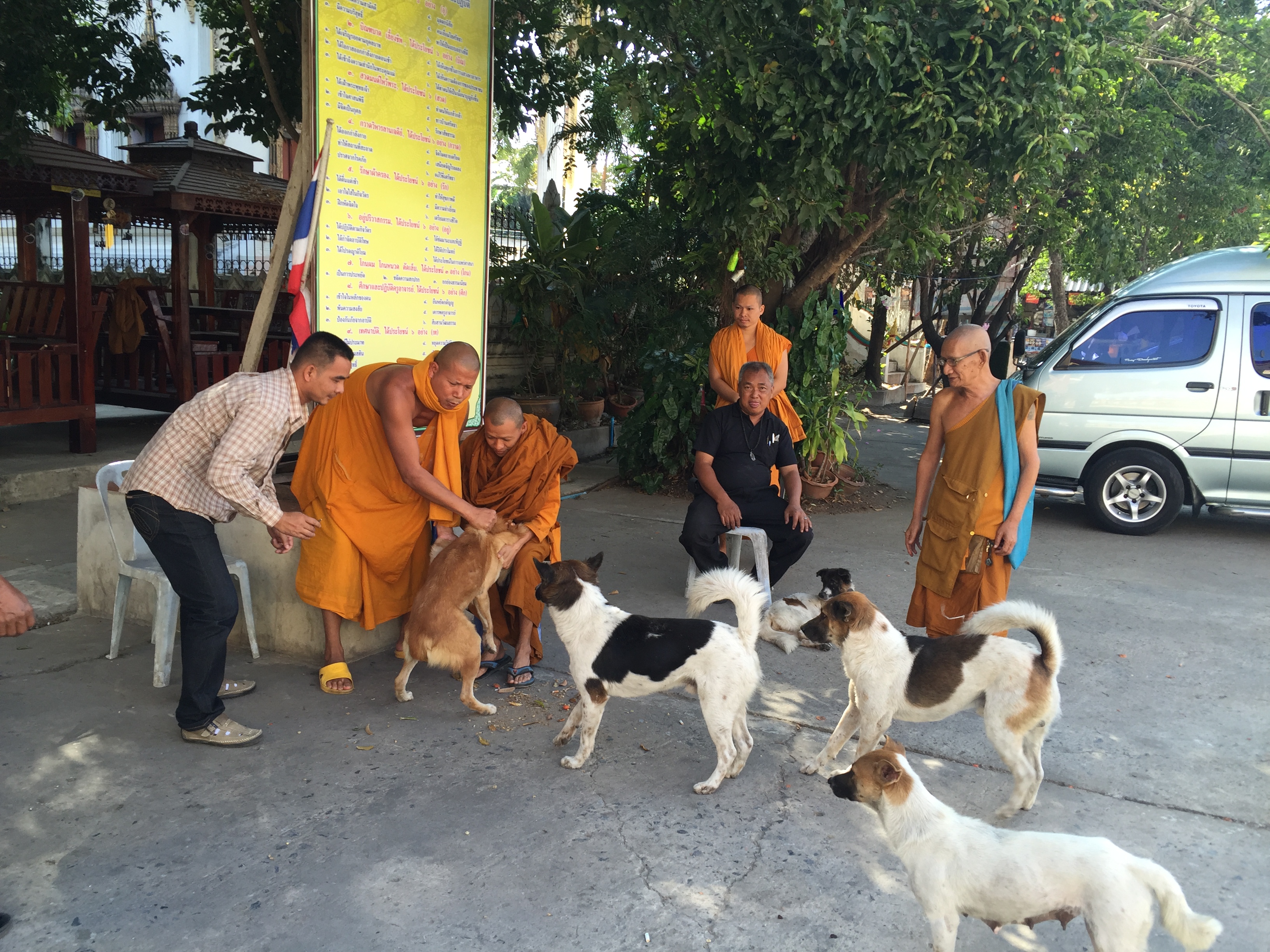 เทศบาลนครโคราชปวดหัวปัญหาสุนัขจรจัด 1.6 พันตัว ไล่จับทุกเดือน เร่งหาที่พักพิง