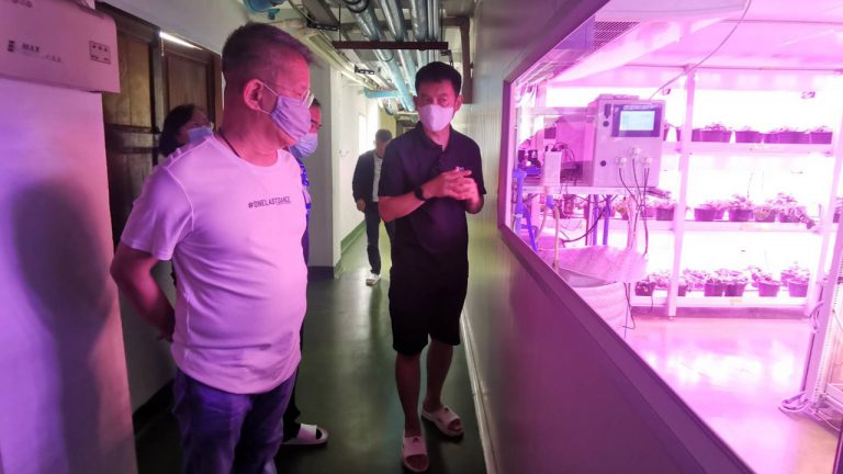 โรงงานย่านคลองมะเดื่อ นำเทคโนโลยีใหม่ปลูกพืชระบบไร้สารพิษ PFAL ด้วยแสงหลอดไฟ