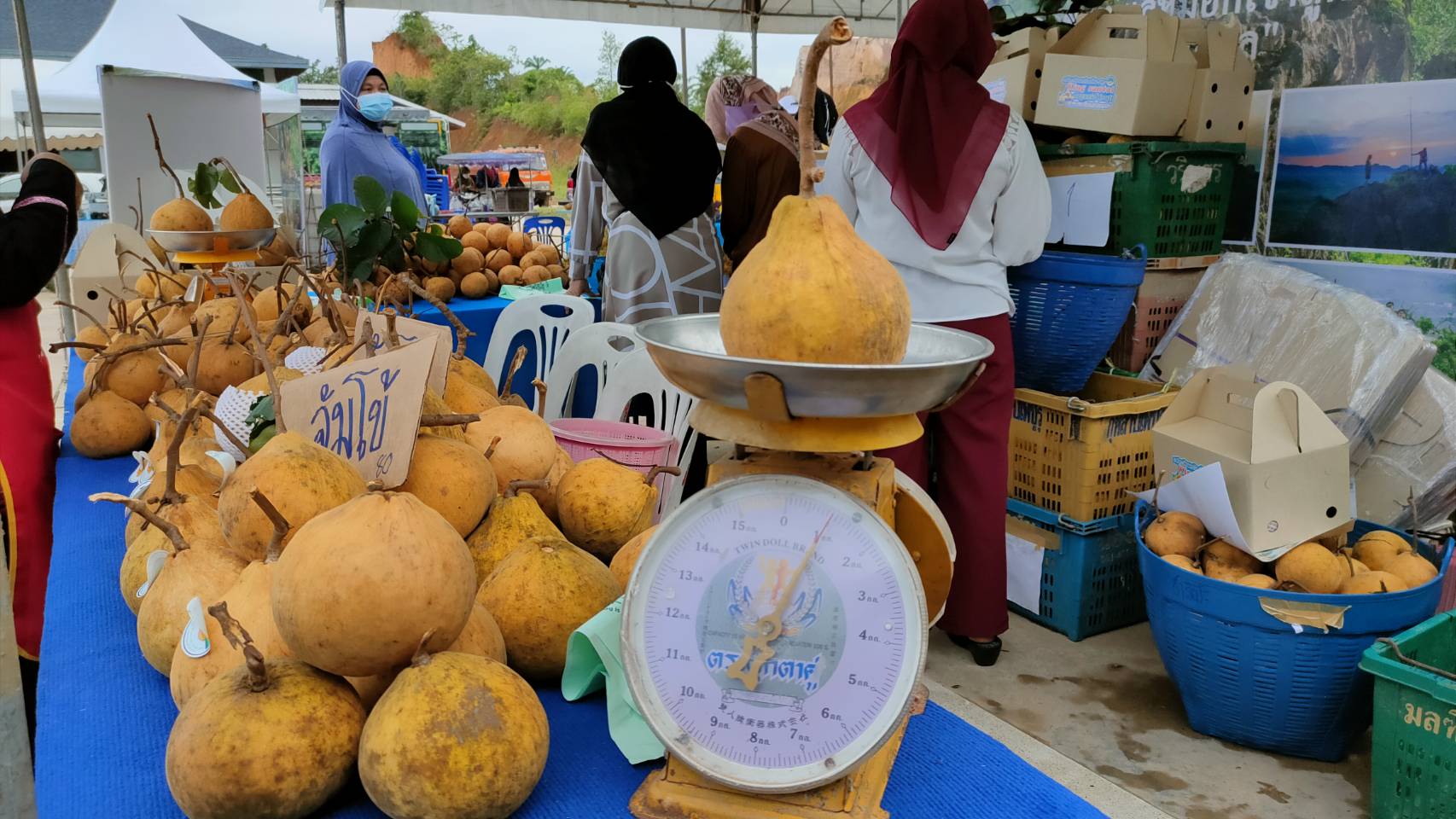 เกษตรสตูลเดินหน้าขับเคลื่อน"กระท้อน"สู่ไม้ผลอัตลักษณ์ประจำจังหวัด