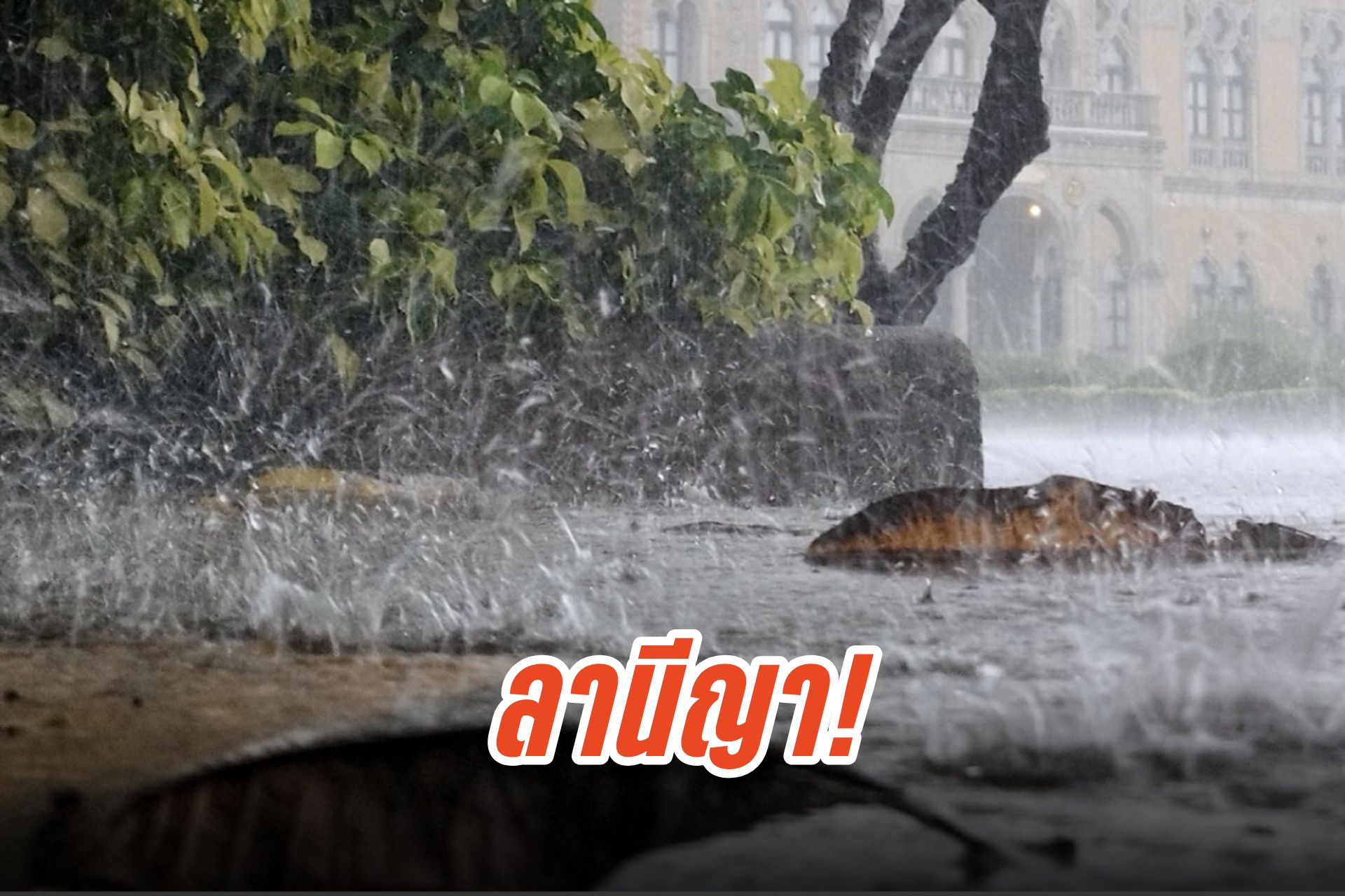 กรมอุตุฯ ยัน ไทยเตรียมเข้าสู่สภาวะลานีญา ฝนเพิ่มขึ้นเล็กน้อย แต่อุณหภูมิยังคงสูงกว่าค่าปกติ