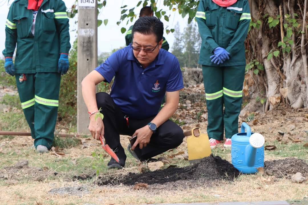 #ดอนเมือง ปลูกต้นไม้ล้านต้น สร้างพื้นที่สีเขียว และกำแพงกรองฝุ่นให้เมืองกรุง