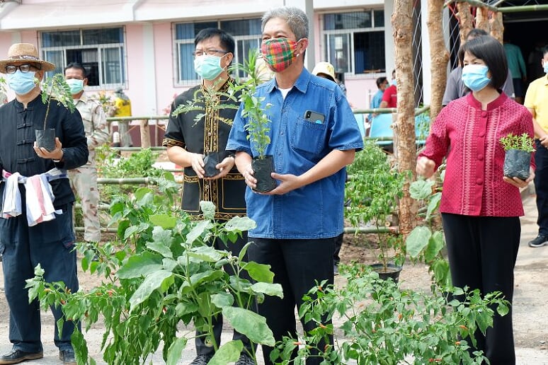 มหาสารคามเนรมิตแปลงดอกไม้หน้าสนามที่ว่าการอำเภอเมืองฯปลูกพืชผักสวนครัว