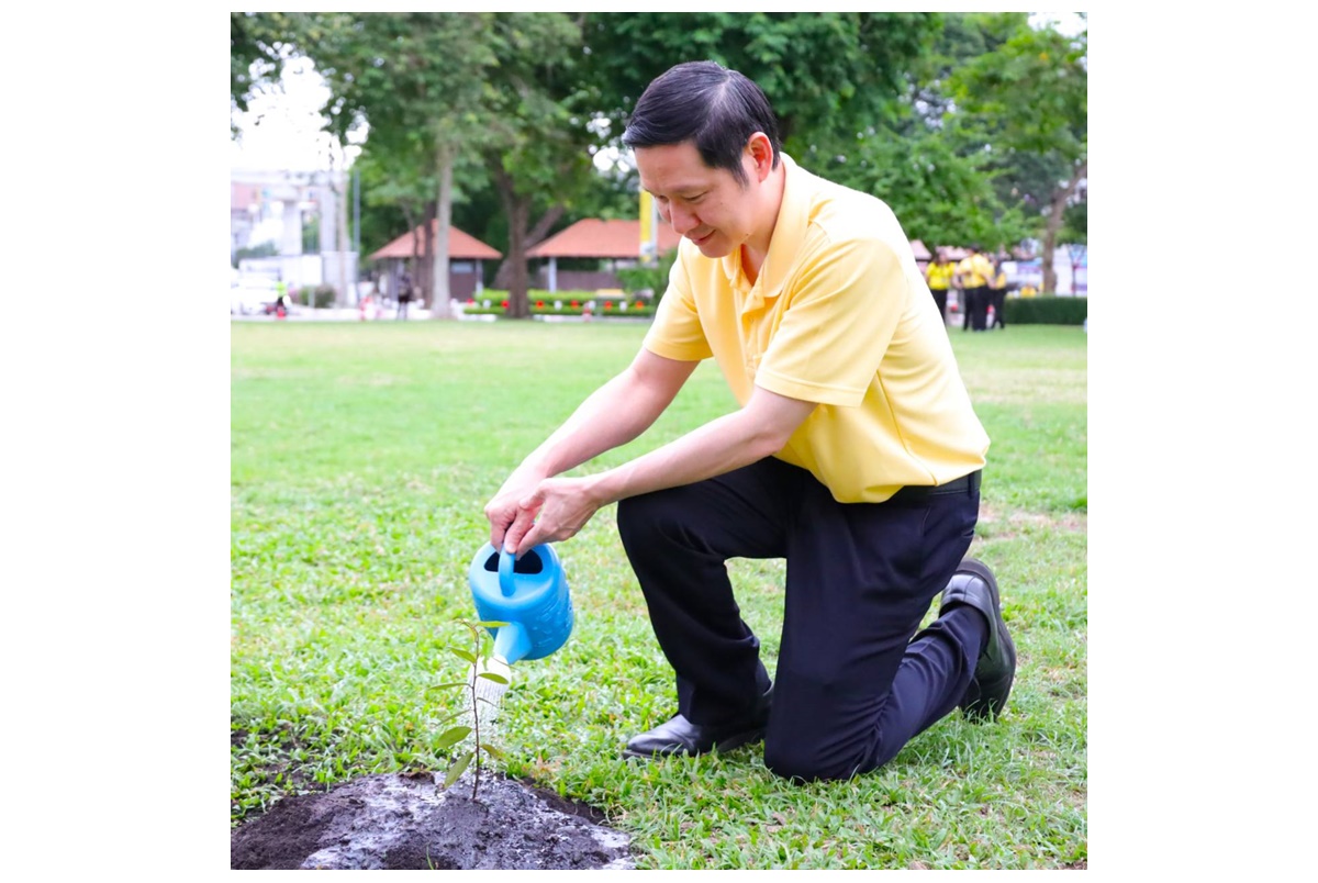 PDPC นำทีมเจ้าหน้าที่ร่วมกิจกรรม “DE ปลูกต้นกล้า คืนธรรมชาติ รักษาสิ่งแวดล้อม”ในโอกาสมหามงคลเฉลิมพระชนมพรรษา 6 รอบ 28 ก.ค.67