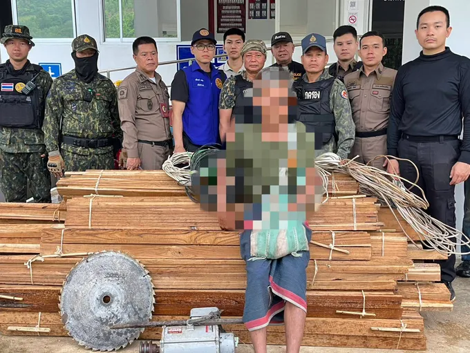 แม่สะเรียงลุย Operation 90 Day! ยึดไม้สักแปรรูป 185 แผ่น รวบลุงวัย 72 ปี ฉี่ม่วง