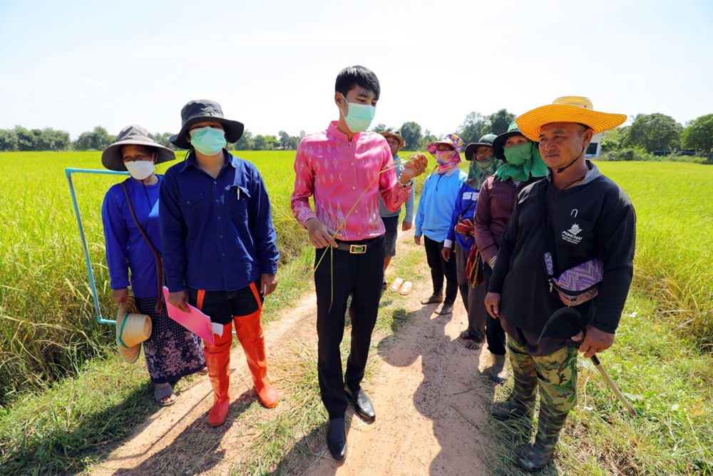 ส่งเสริมเกษตรกรบ้านแฝก-โนนสำราญ ผลิตเมล็ดข้าวพันธุ์ดี ทะลุเป้า 700 ตันต่อปี 