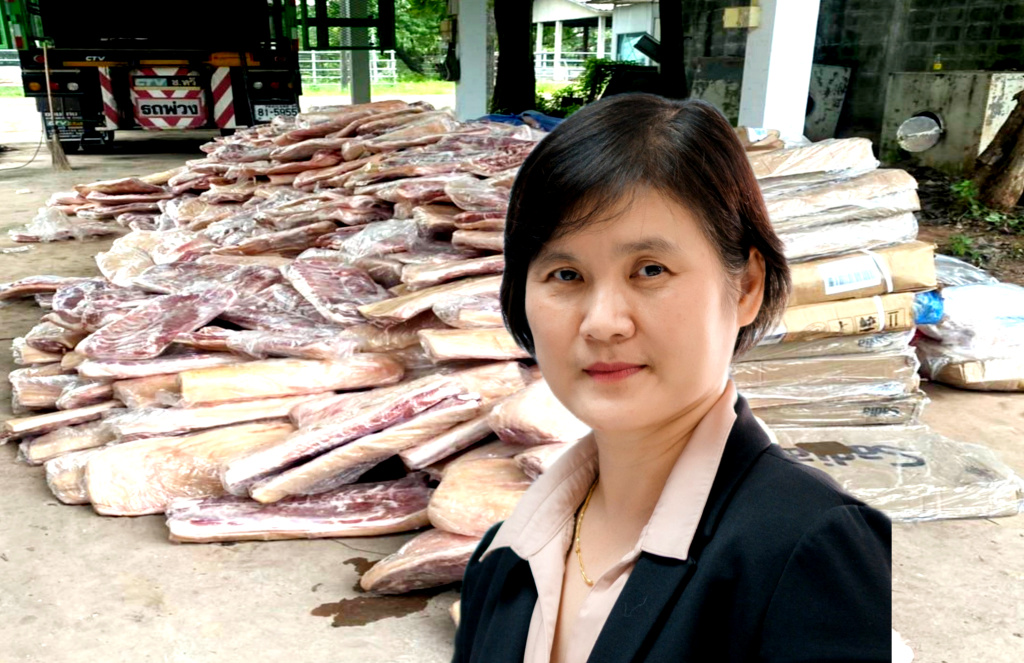 นักวิชาการเตือน “หมูเถื่อน” อาจปนเปื้อนทั้งเชื้อดื้อยา-สารตกค้างที่มากกว่าสารเร่งเนื้อแดง