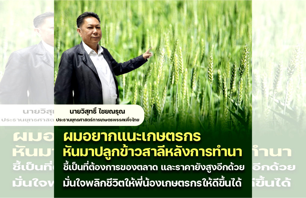 ปธ.ยุทธศาสตร์การเกษตร พท. ลุยผลักดันส่งเสริมปลูกข้าวสาลี
